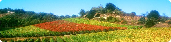 Territoire du Pays Carcassonnais