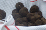 truffes